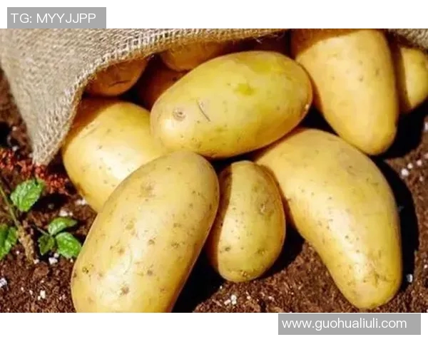 姚明在美食探秘中品尝土豆的独特风味与健康价值