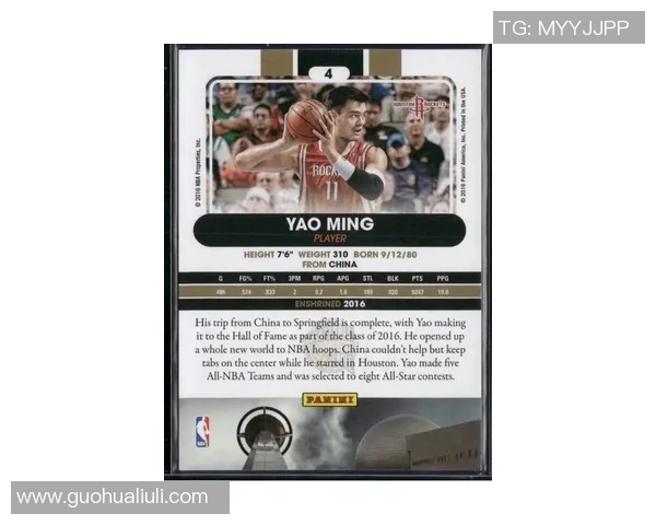 姚明在CCTV转播下的季后赛传奇时刻回顾与精彩瞬间分析