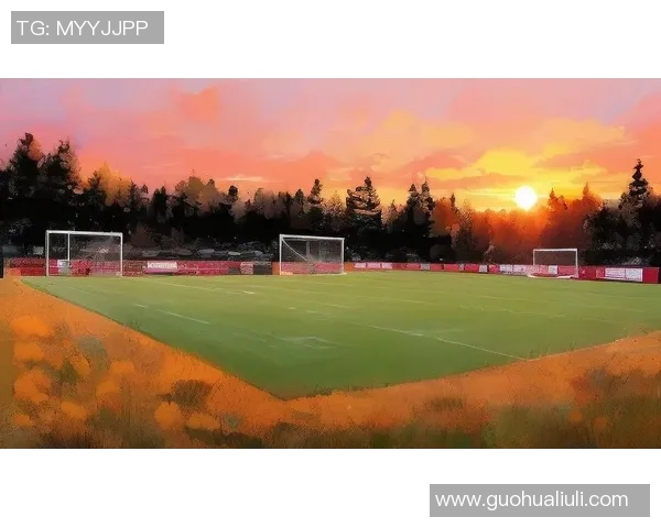 足球明星高清插图壁纸精选展示让你感受绿茵场上的激情与魅力 足球明星高清插图壁纸精选展示让你感受绿茵场上的激情与魅力